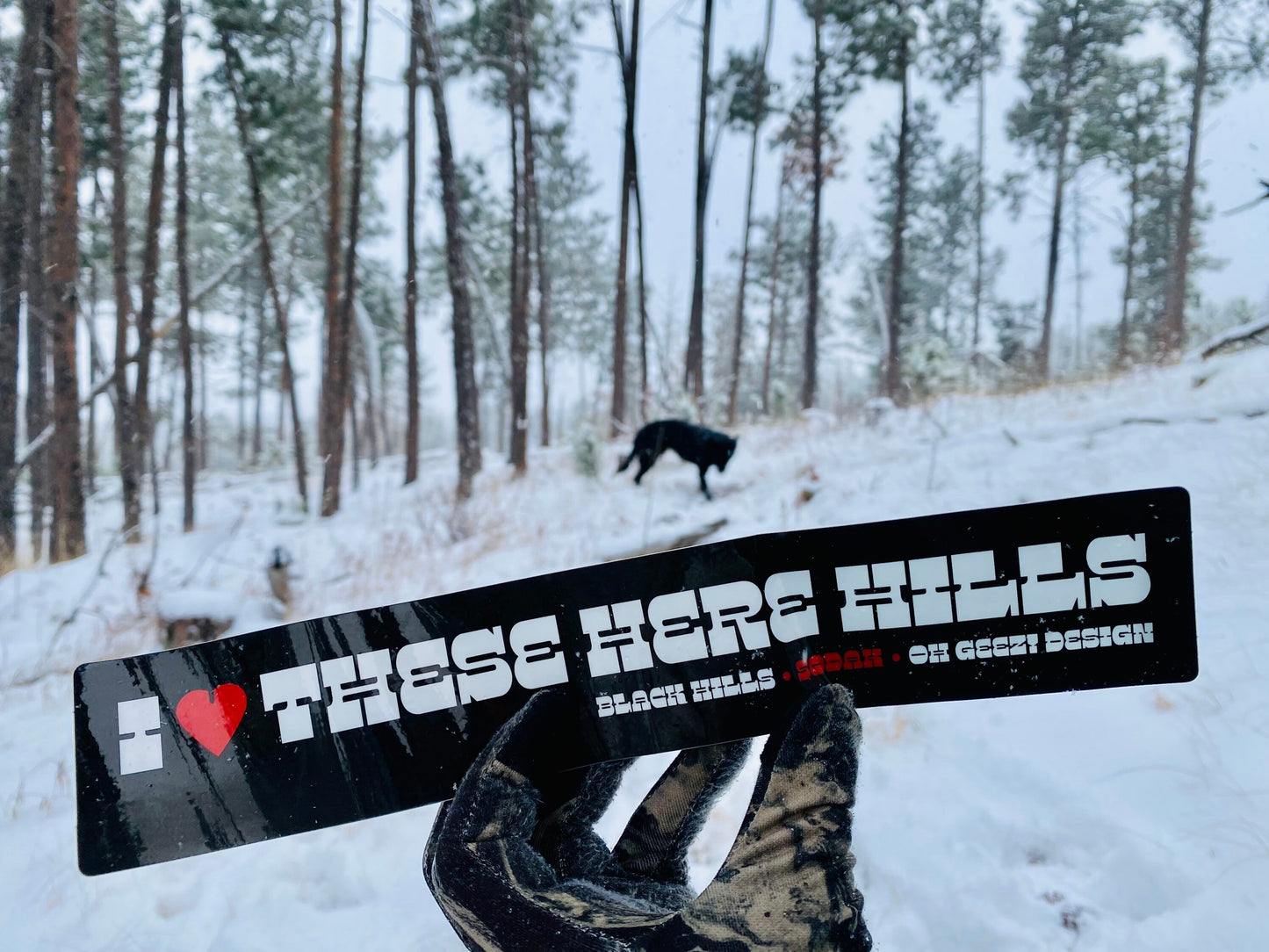 I Love These Here Hills - Black Hills Bumper Sticker