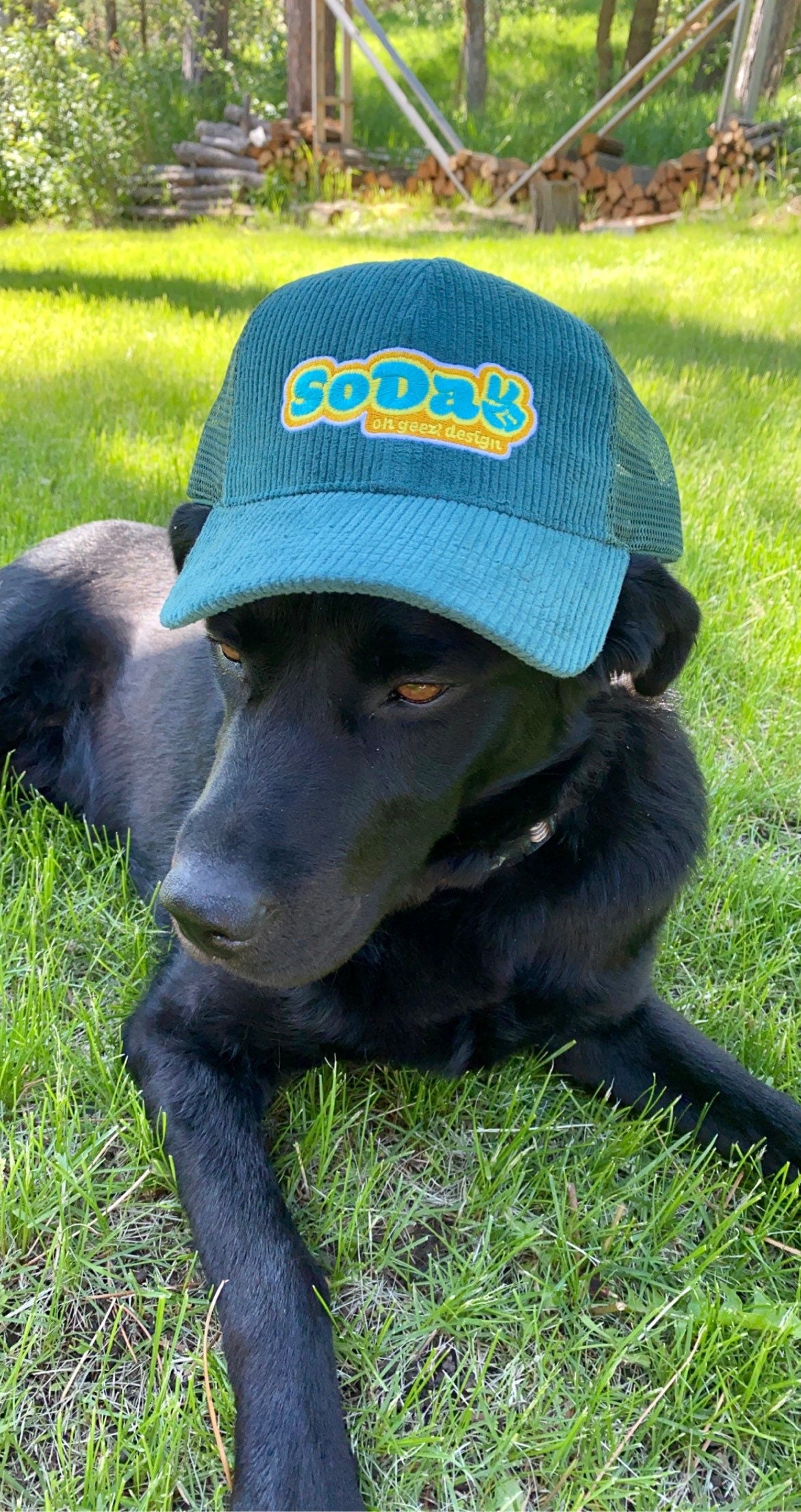 SoDak Peace Corduroy Embroidered Hat by Oh Geez! Design